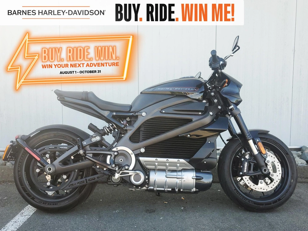 2020 Harley-davidson Elw - Livewire™ alt
