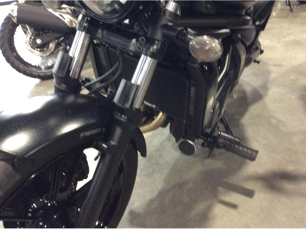 Kawasaki Vulcan S 650 En650drfnn 2024 alt