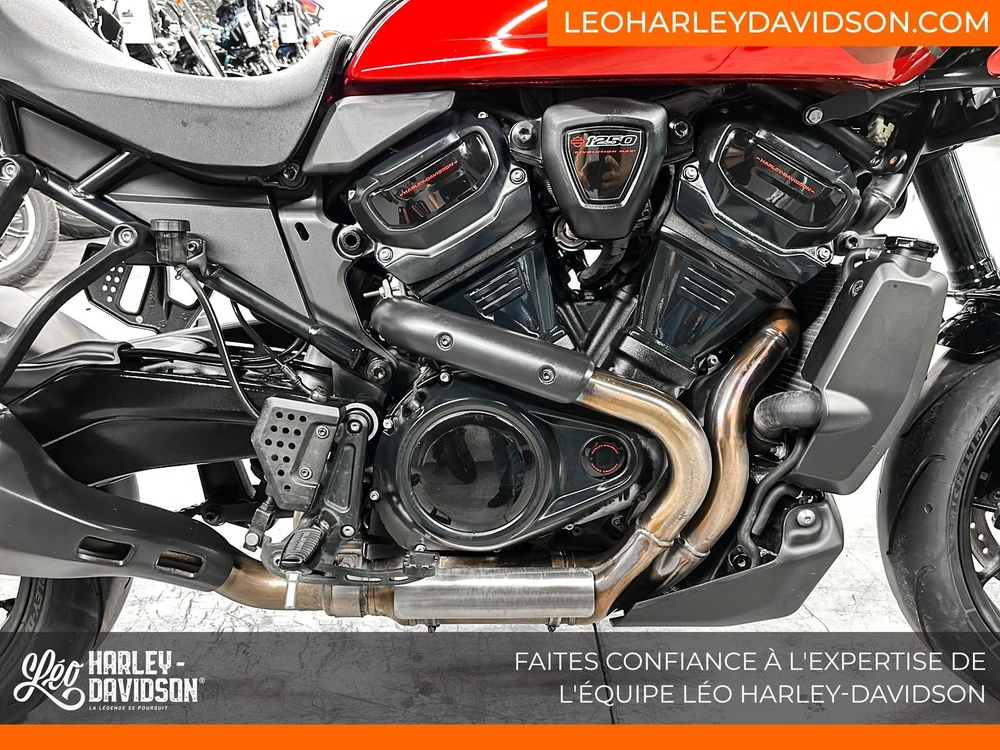 2025 Harley-davidson Ra1250st Pan America St alt