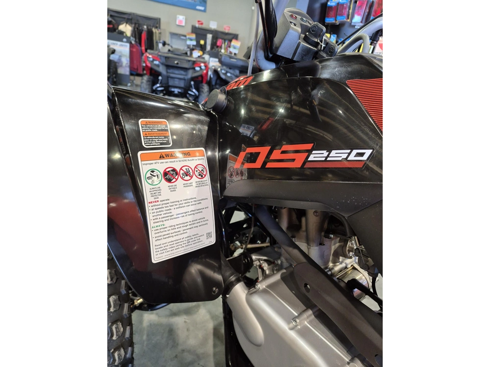 2026 Can-am Ds 250 Black & Can-am Red alt