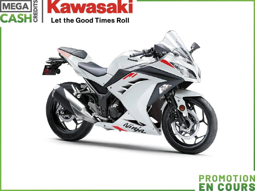 Kawasaki Ninja 300 2026 alt