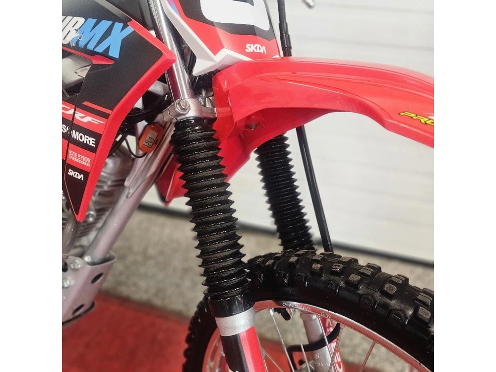 2020 Honda Crf125f (big Wheel) alt
