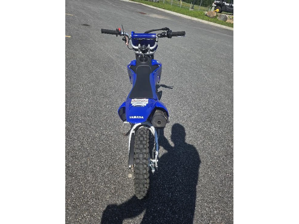 Yamaha Tt-r110e 2024 alt