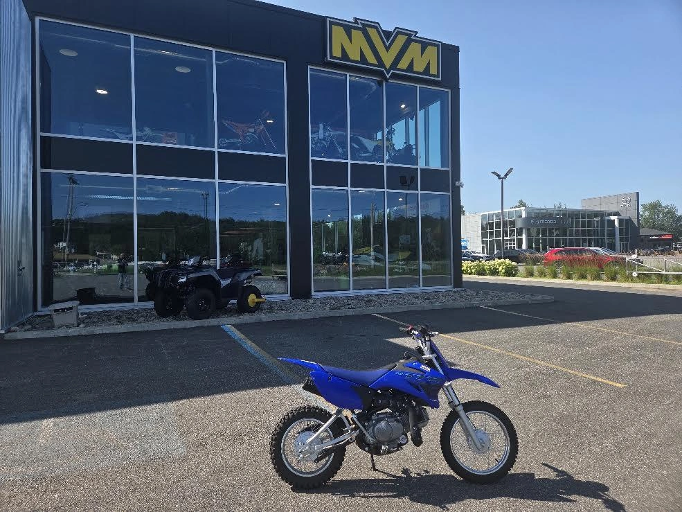 Yamaha Tt-r110e 2024 alt