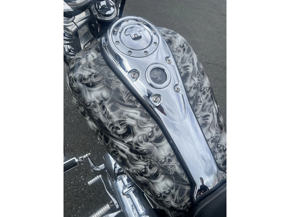 Harley-davidson Fxd 2009 alt