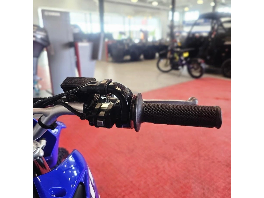 2026 Yamaha Ttr 125le alt