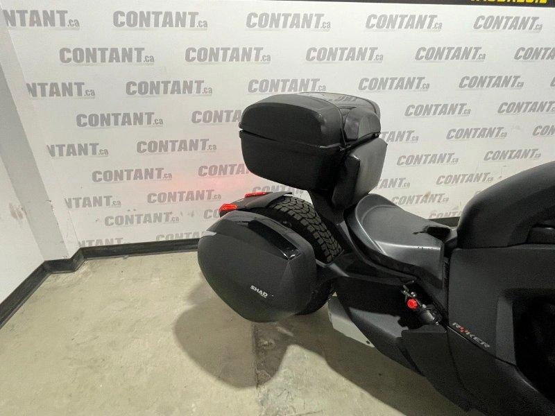 Can-am Ryker Rally 2020 alt