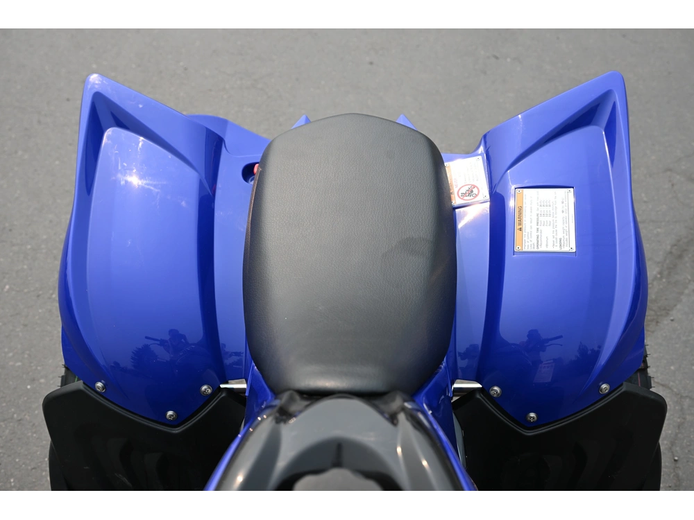 2026 Yamaha Raptor 110 alt