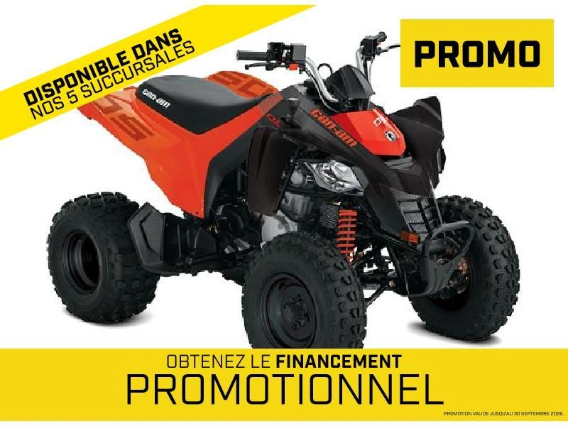 Can-am Ds 250 2026 alt