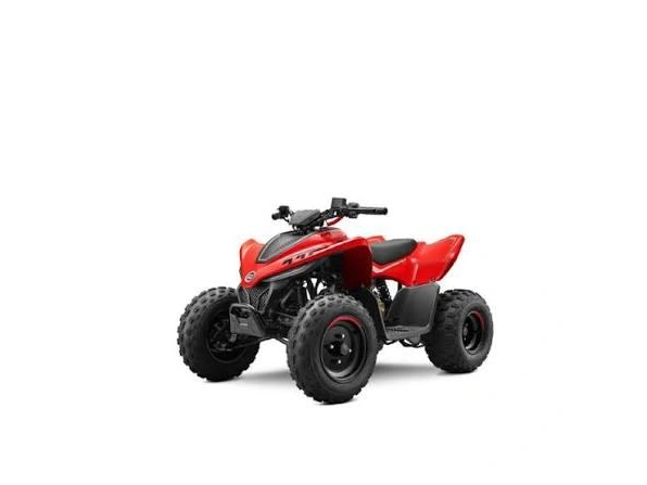 Cfmoto Cforce 110 Classic 2026 alt