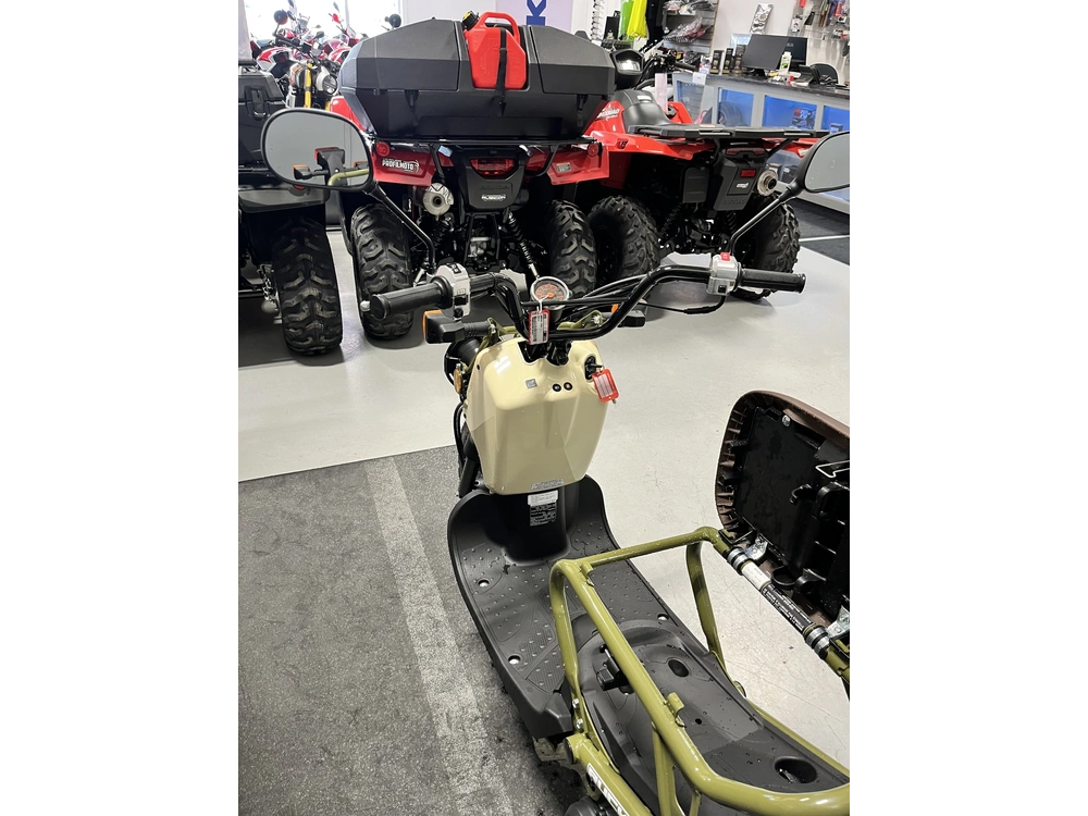 Honda Ruckus Nps50 2024 alt