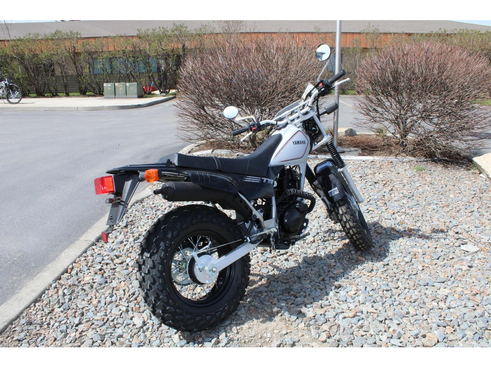 2027 Yamaha Tw200 alt