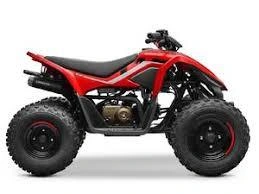 Cfmoto Cforce 110 Classic 2026 alt