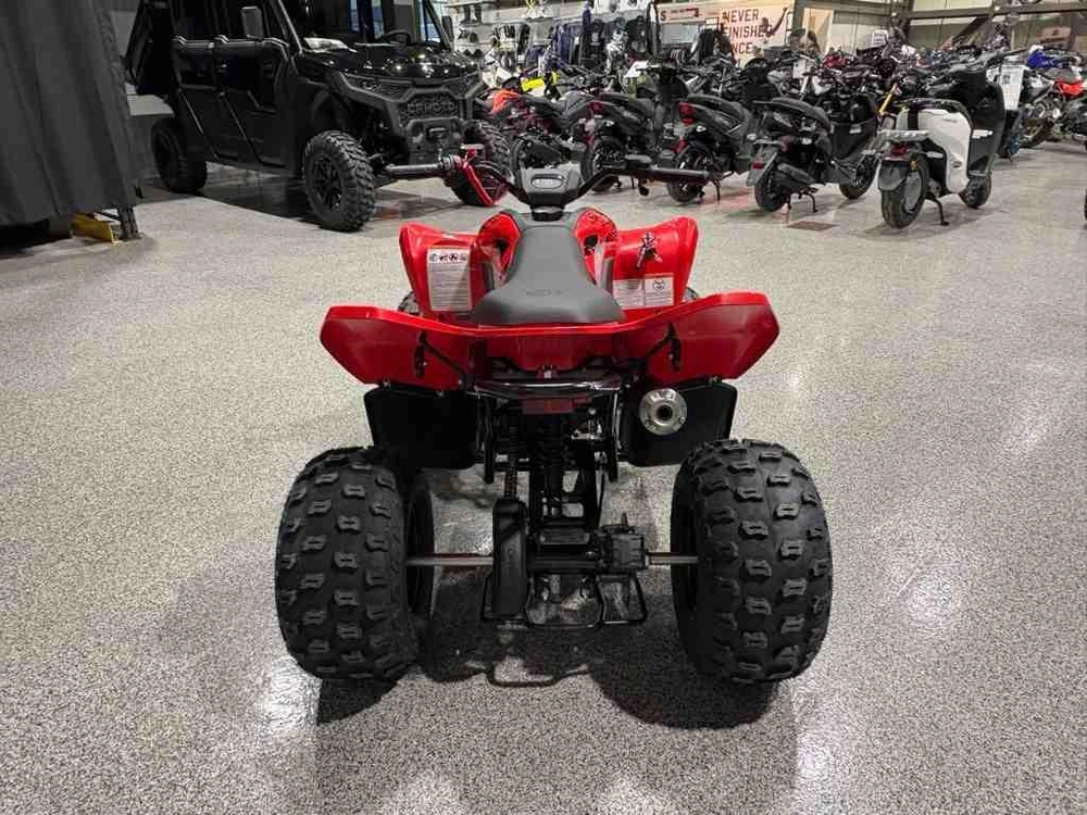 2026 Cfmoto Cforce 110 Classic alt