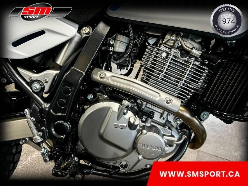 2026 Suzuki Dr650se alt