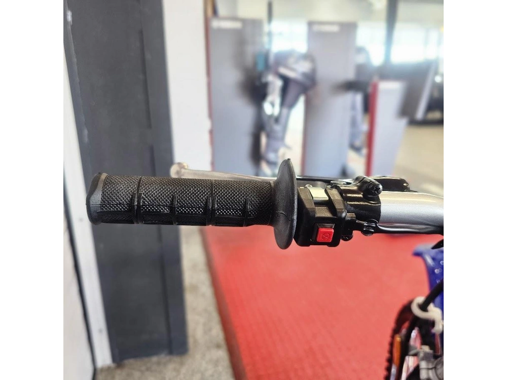 2026 Yamaha Ttr 125le alt