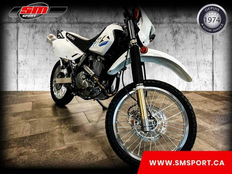 2026 Suzuki Dr650se alt