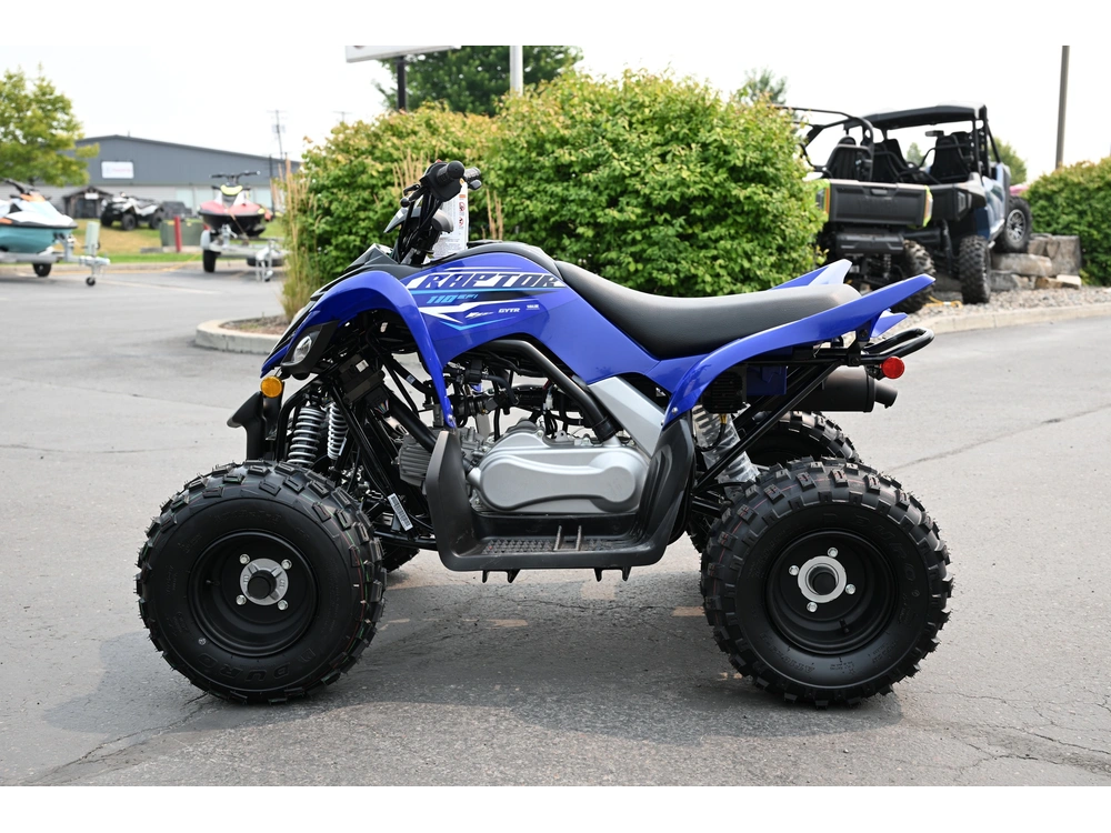 2026 Yamaha Raptor 110 alt