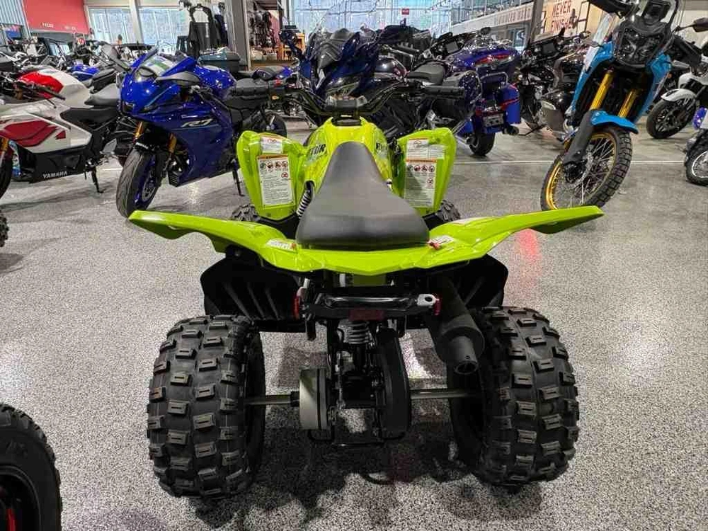 Yamaha Raptor 110 2026 alt