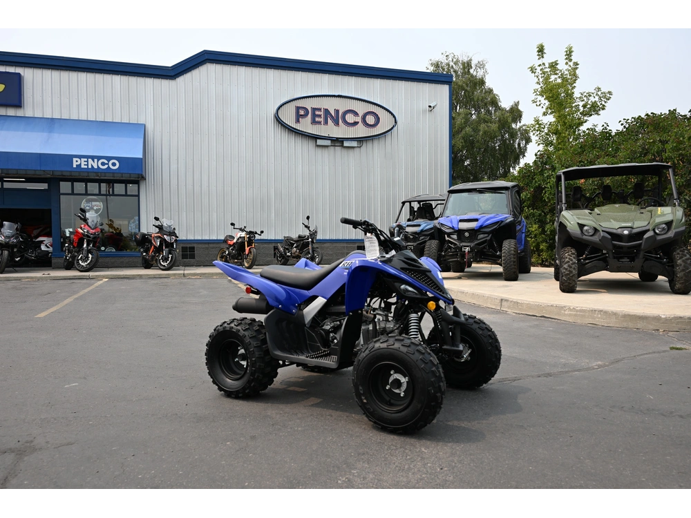 2026 Yamaha Raptor 110 alt