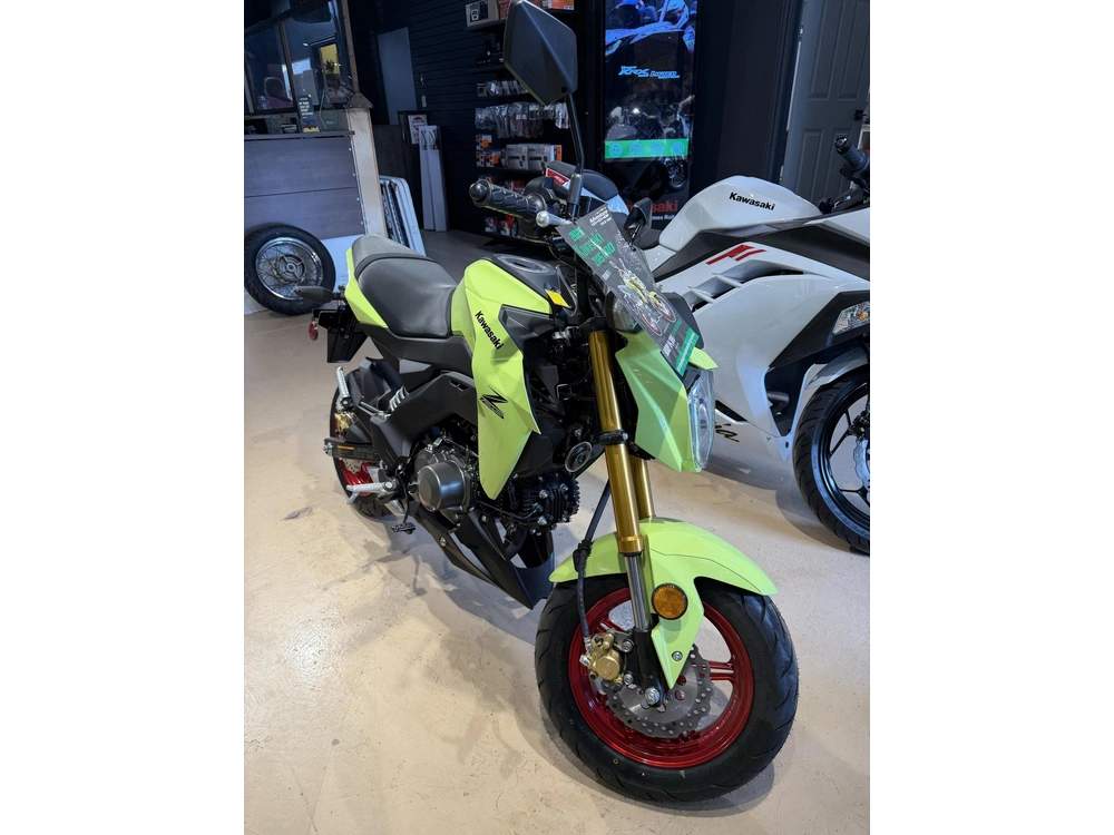 2026 Kawasaki Z125 Pro