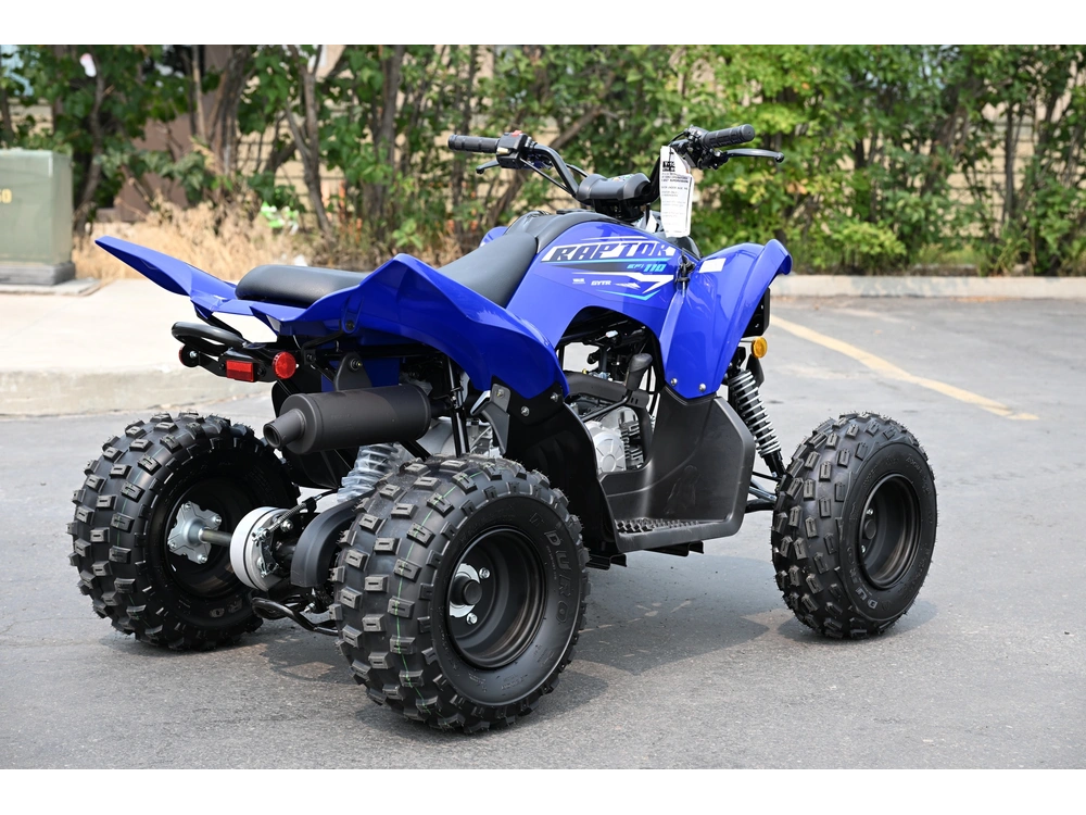 2026 Yamaha Raptor 110 alt