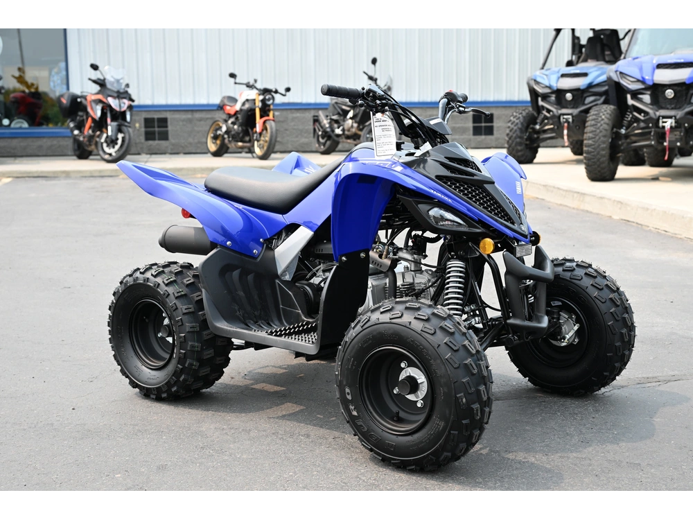 2026 Yamaha Raptor 110 alt
