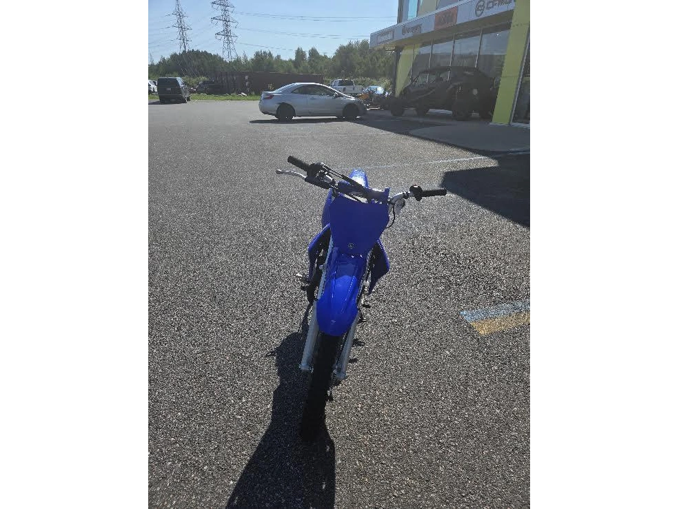 Yamaha Tt-r110e 2024 alt