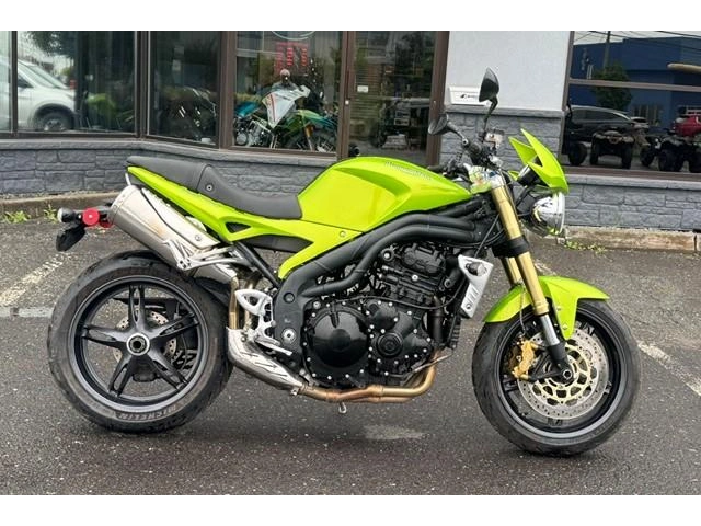 Triumph 1050 Speed Triple 2007 alt