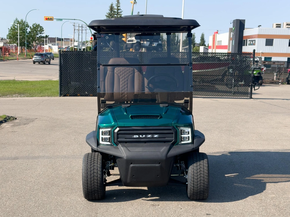 2026 Buzz G2 Standard alt