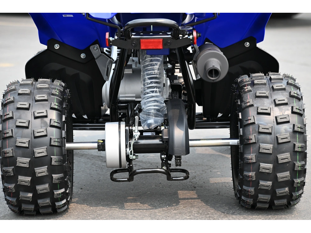 2026 Yamaha Raptor 110 alt