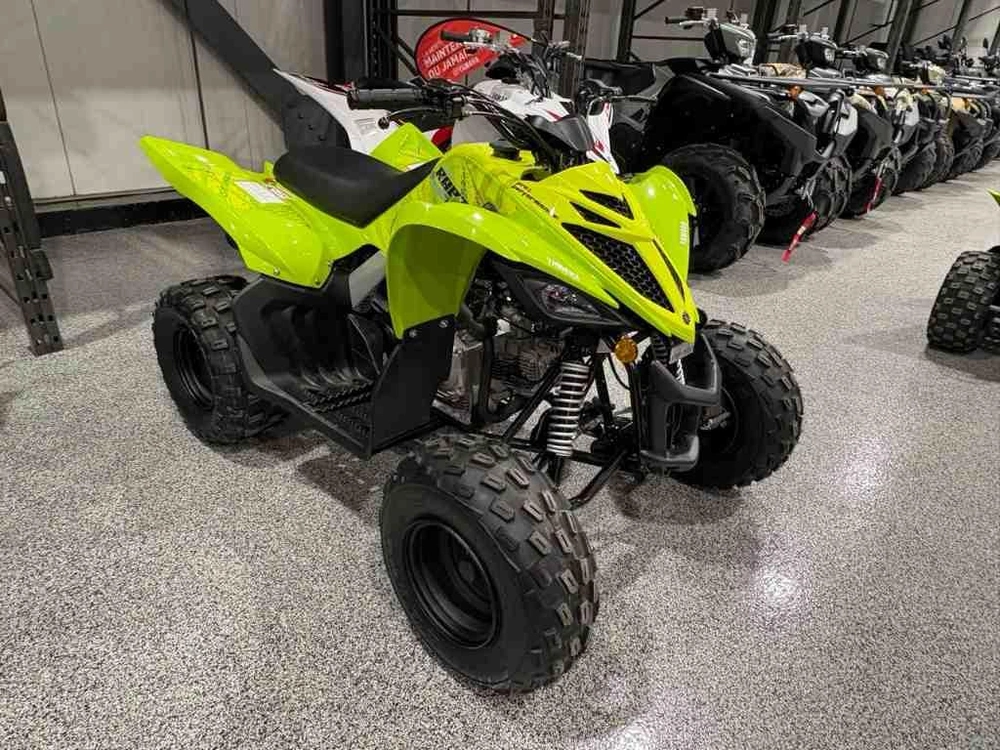 Yamaha Raptor 110 2026 alt