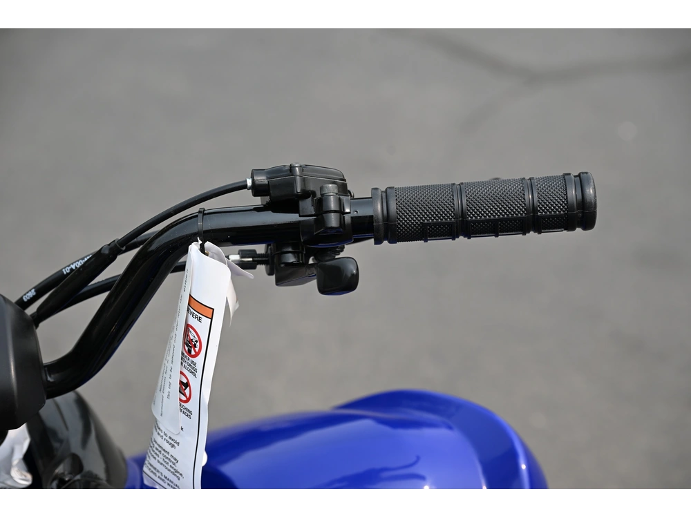 2026 Yamaha Raptor 110 alt