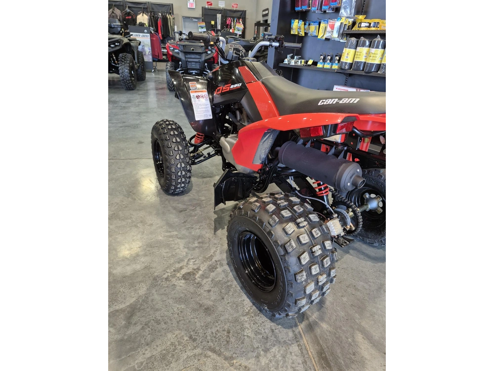 2026 Can-am Ds 250 Black & Can-am Red alt