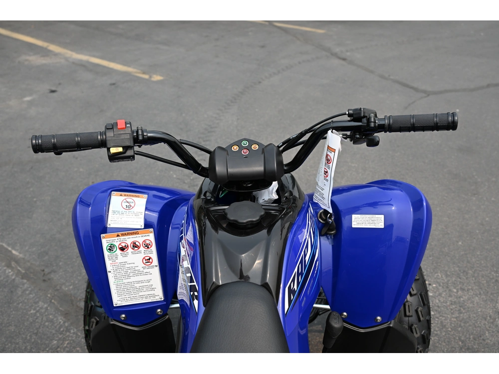 2026 Yamaha Raptor 110 alt