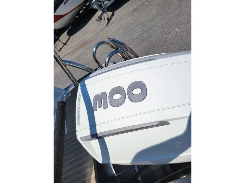 2019 Princecraft Vogue 27 Xt / Mercury 300 alt