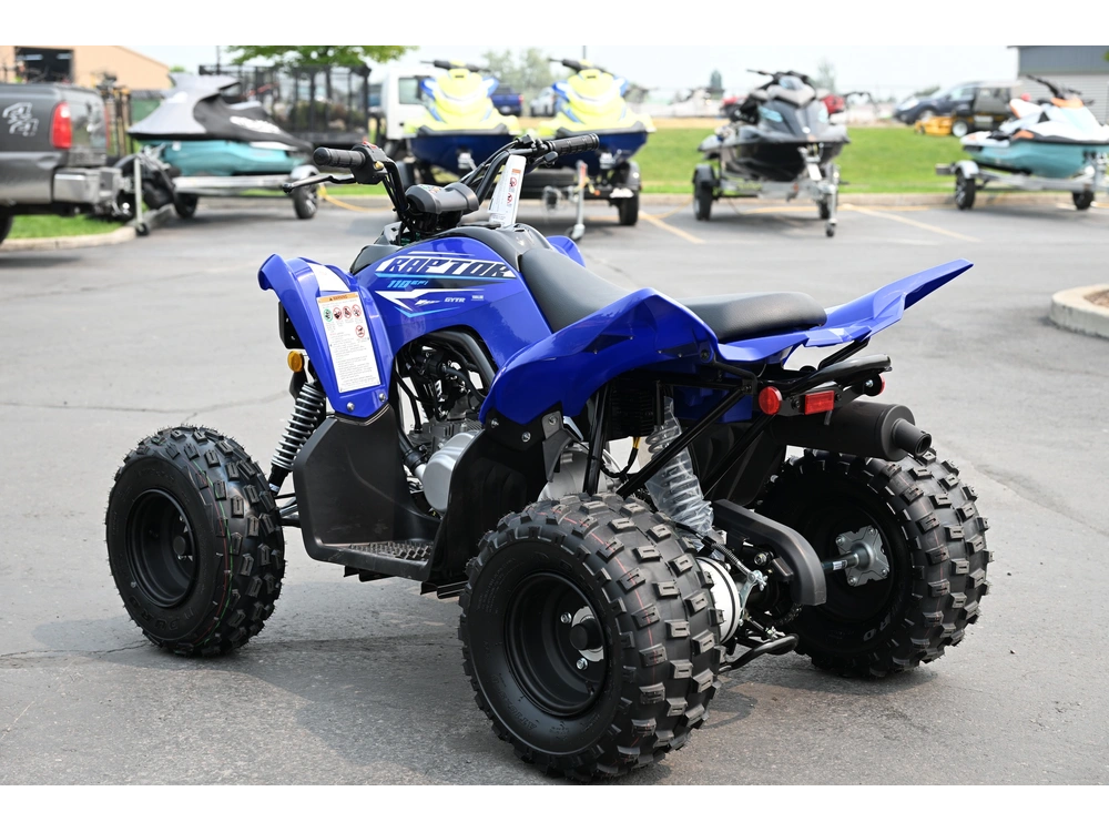 2026 Yamaha Raptor 110 alt