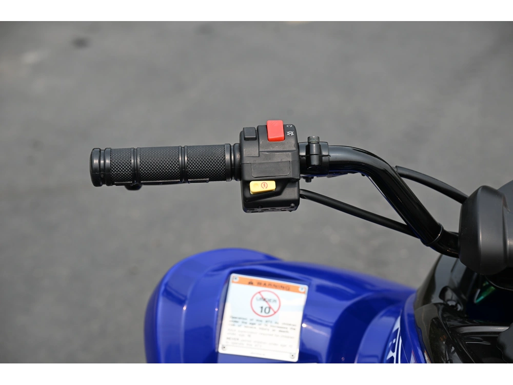 2026 Yamaha Raptor 110 alt