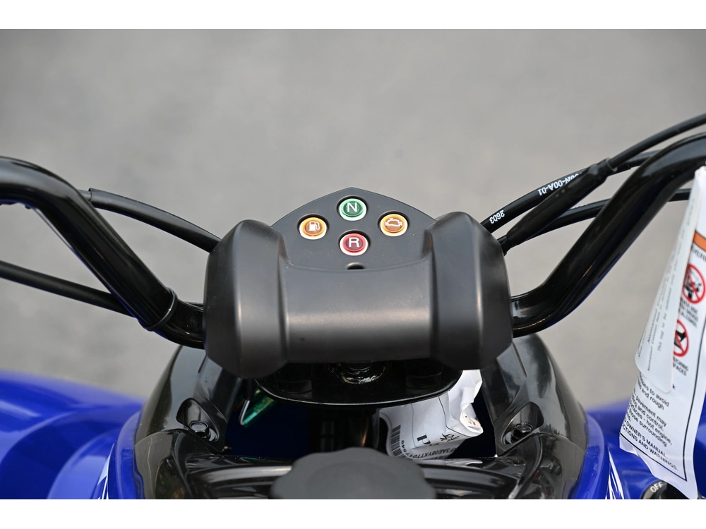 2026 Yamaha Raptor 110 alt