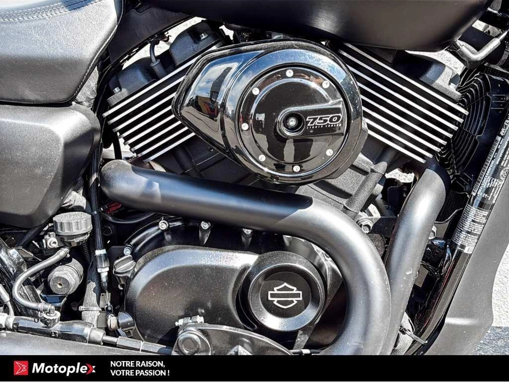 2017 Harley-davidson Street Rod 750 Xg750 alt