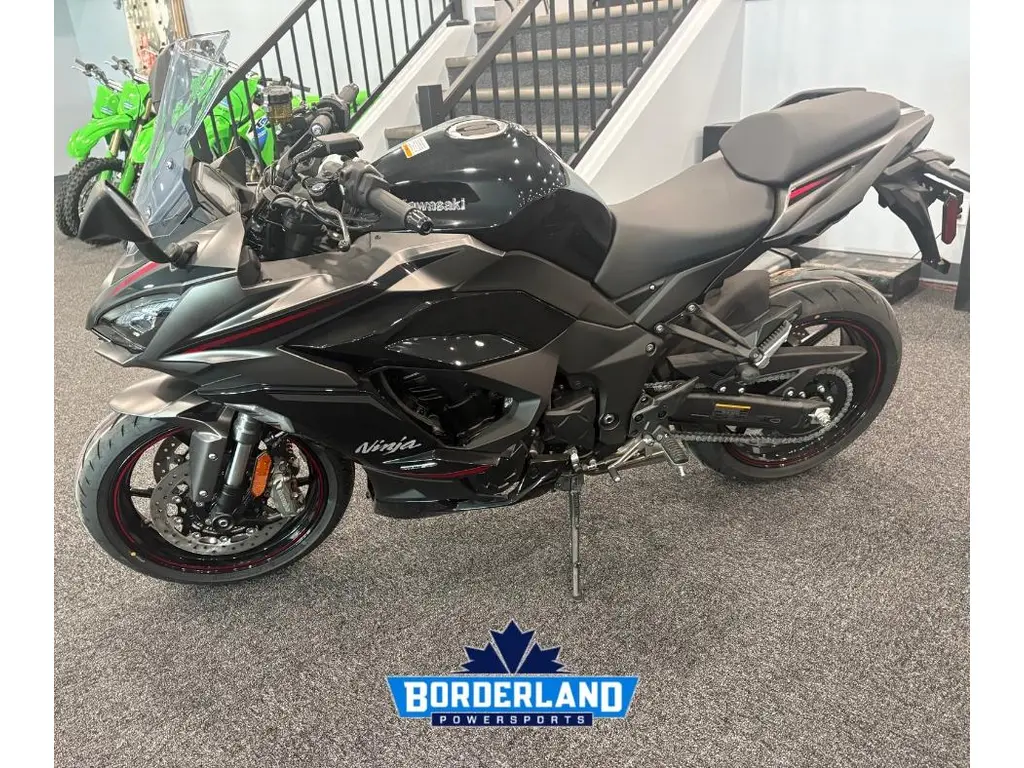 2025 Kawasaki Ninja 1100SX SE ABS Grey