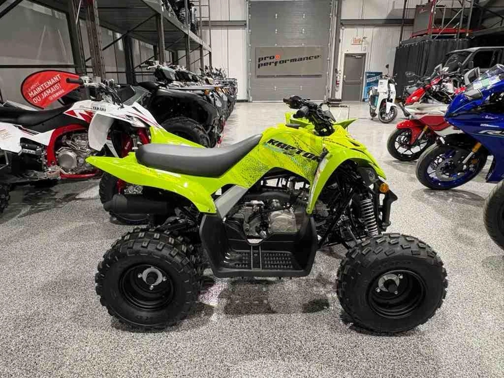 Yamaha Raptor 110 2026 alt