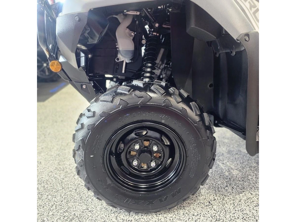2026 Honda Rubicon 520 Irs Eps alt