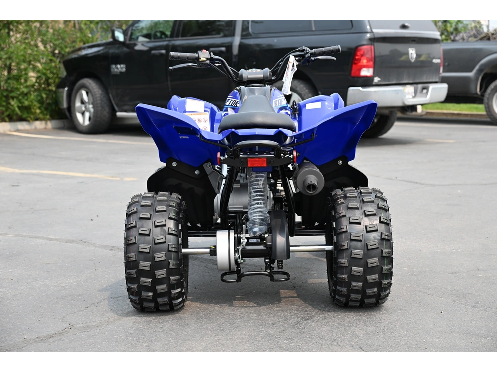 2026 Yamaha Raptor 110 alt