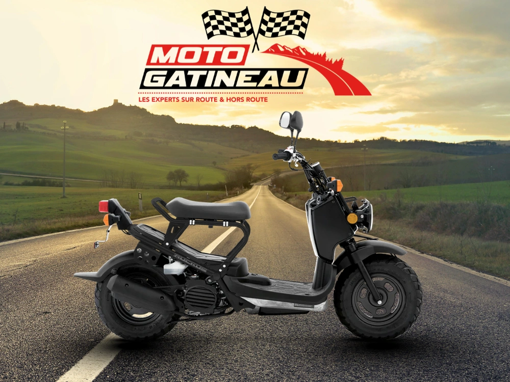 Honda Ruckus 2024 alt