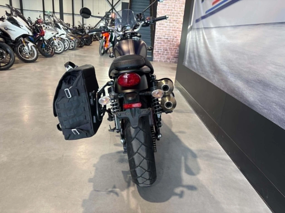 Triumph Scrambler 900 2022 alt