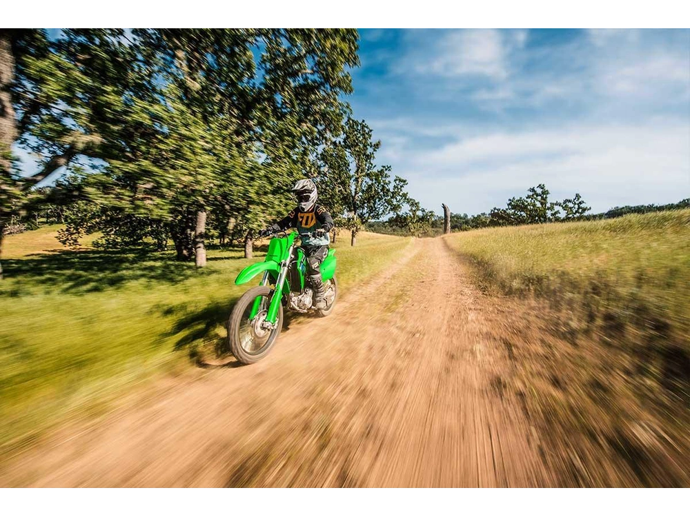 Kawasaki Klx300r Klx300cvfnn 2027 alt