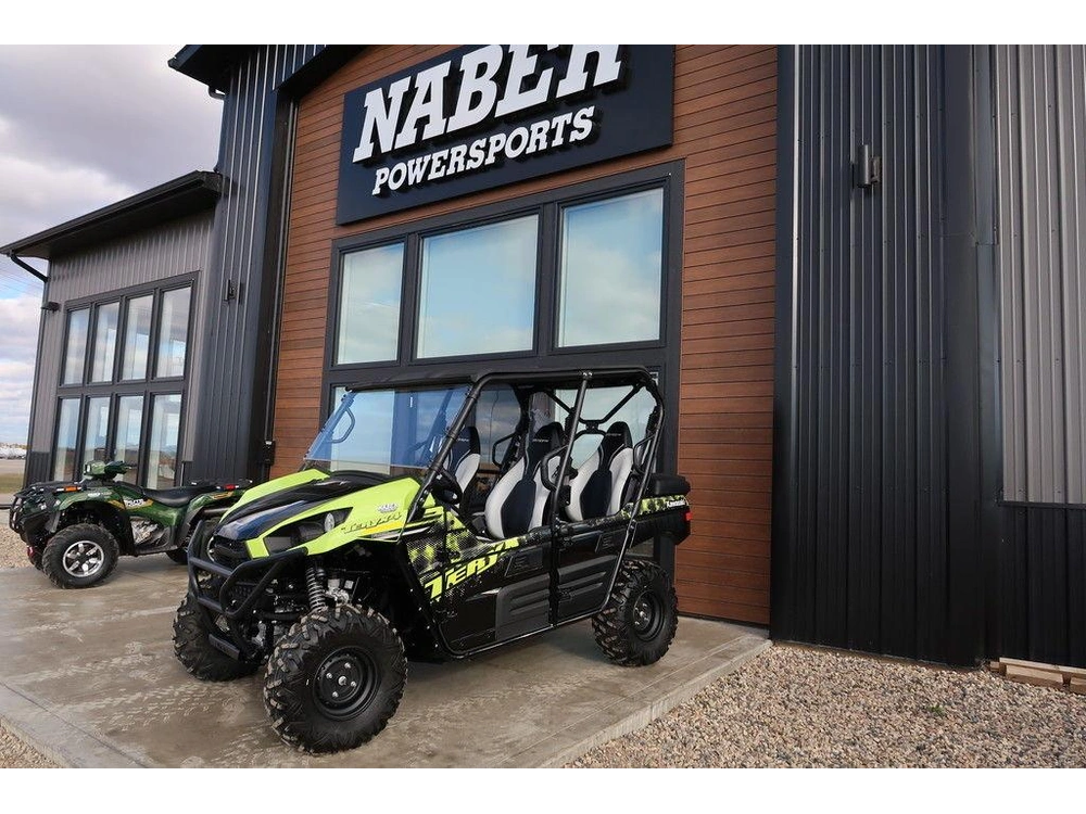 2025 Kawasaki Teryx4 alt