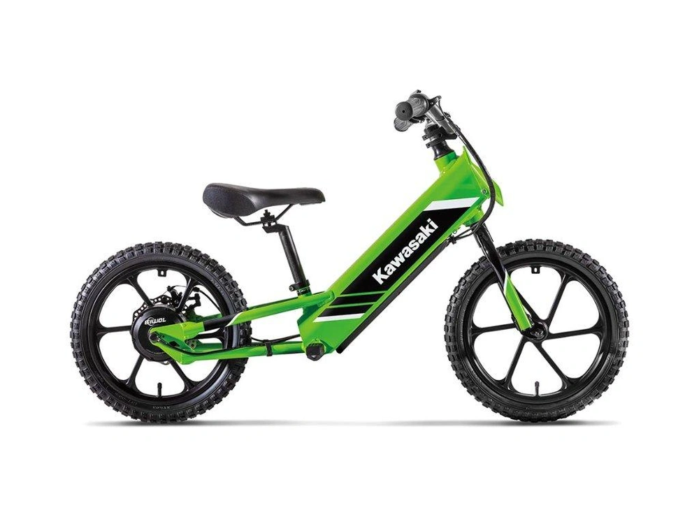 Kawasaki Elektrode 16 2027 alt