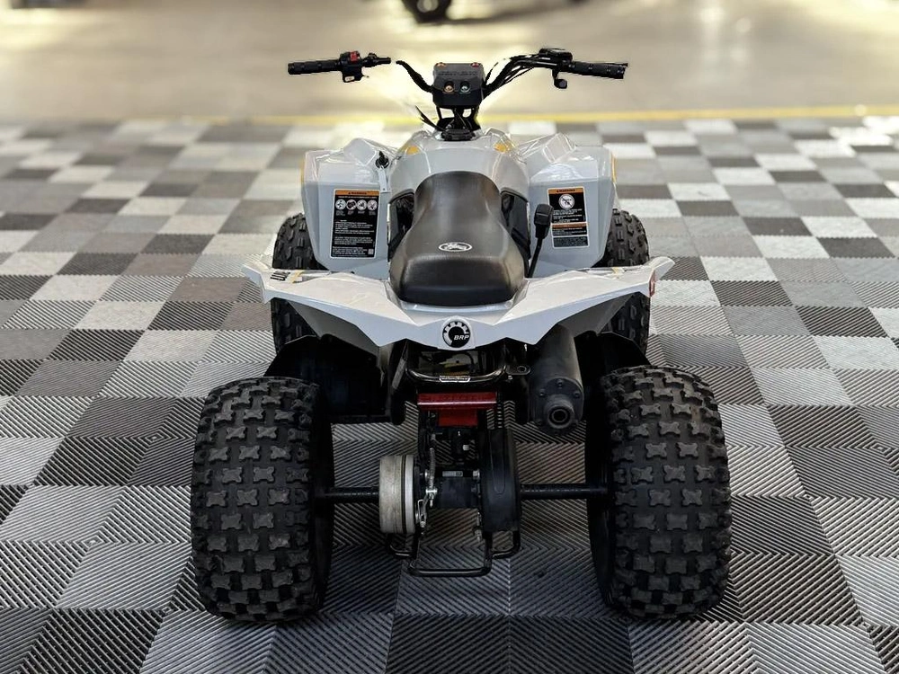 2024 Can-am Renegade 110 alt